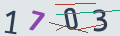 verifycode